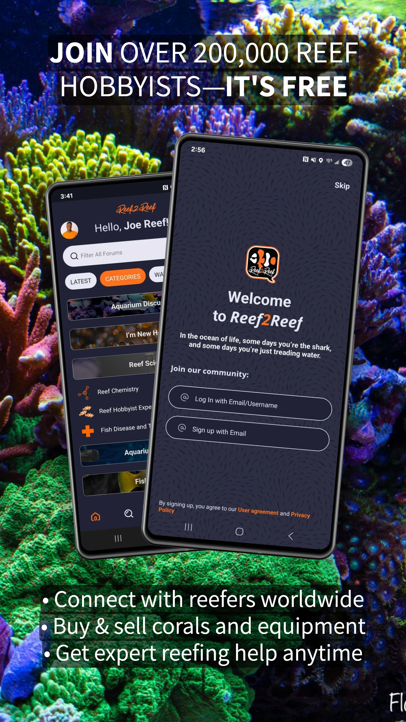 Reef2Reef screenshot